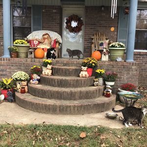 Meet your Posher, Jerri